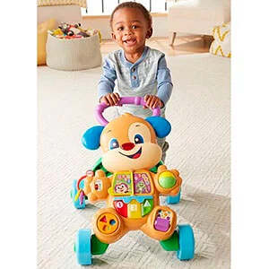 Apoiador Cachorrinho que anda - Fisher Price